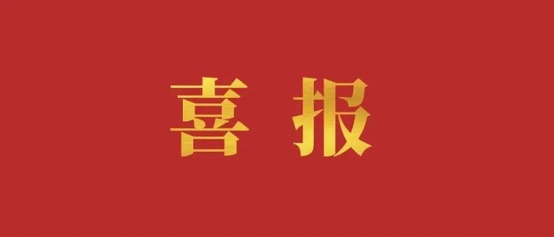 重慶市屬國有企業戰略性重組專業化整合提速！重慶人力資源發展有限公司揭牌
